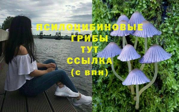 MESCALINE Абаза