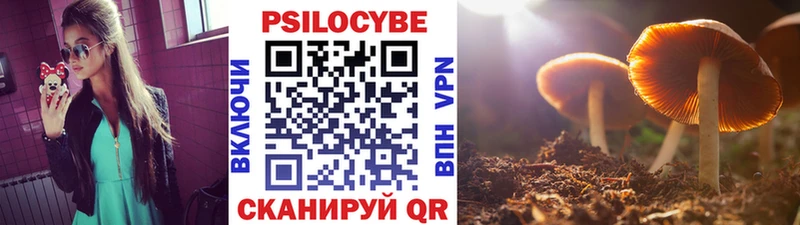 ОМГ ОМГ ссылка  Никольское  Псилоцибиновые грибы Cubensis 